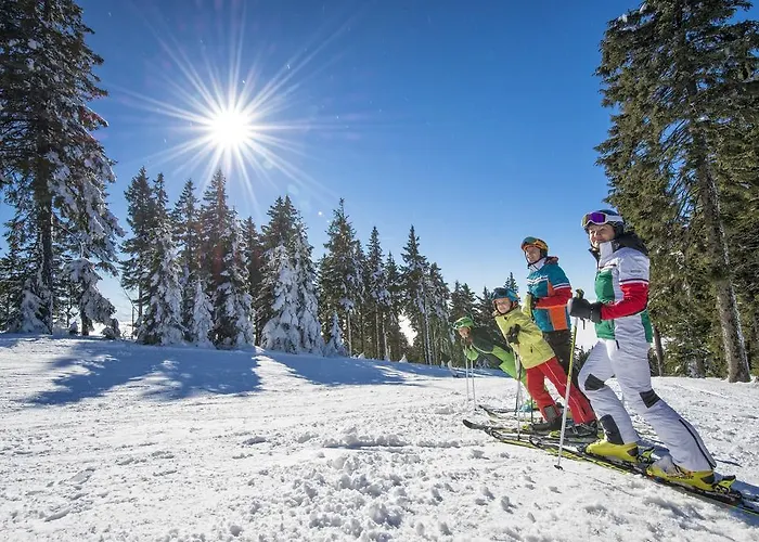 Aigo Welcome Family Aigen im Mühlkreis